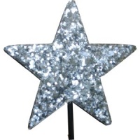 Silver Glitter Star